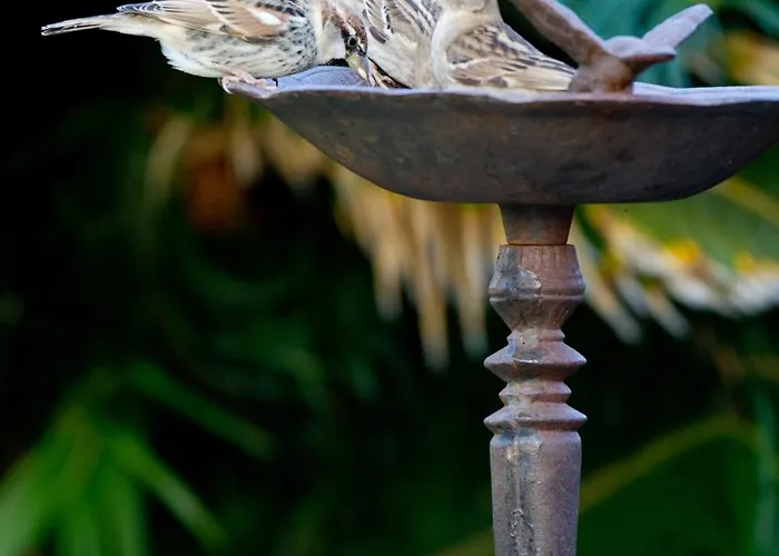 El Tejado Vakantiepark 3*