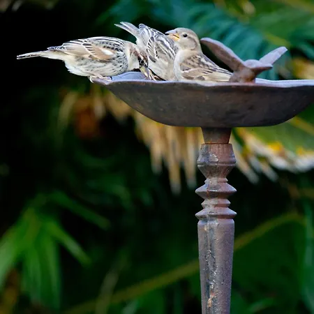 El Tejado Vakantiepark 3*