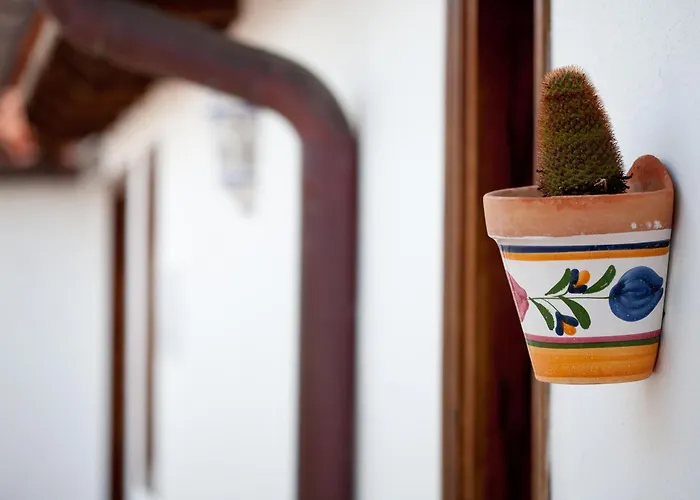 El Tejado 3* بوينافيستا ديل نورتي